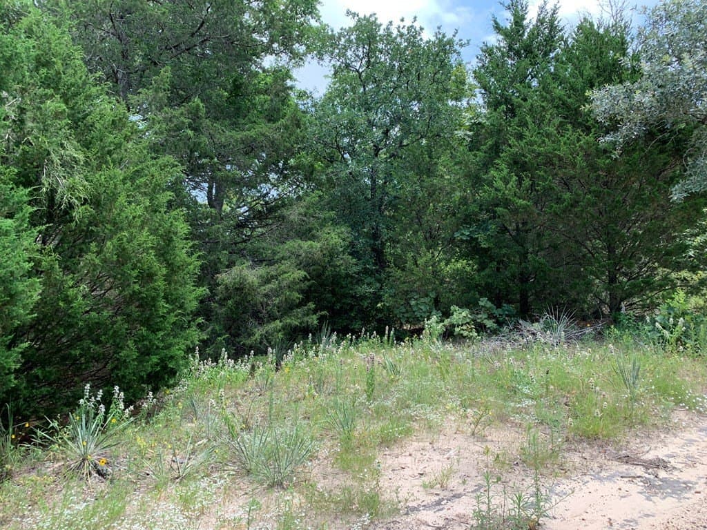 25.6 acres in Henderson County - photo 18