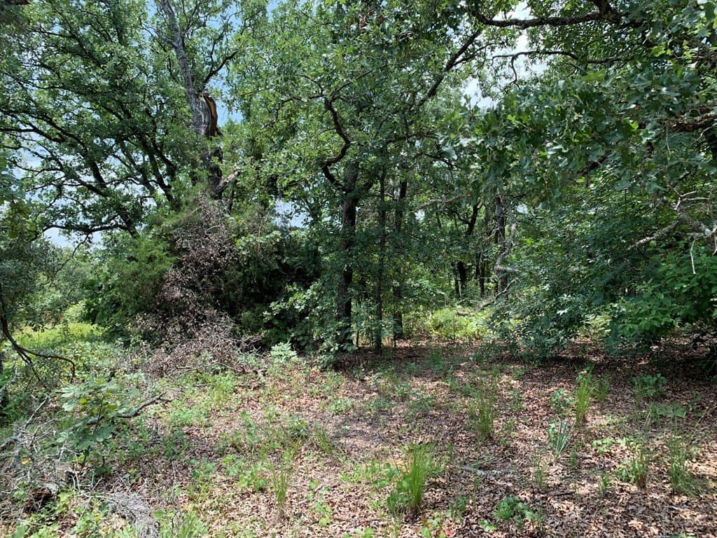 25.6 acres in Henderson County - photo 20