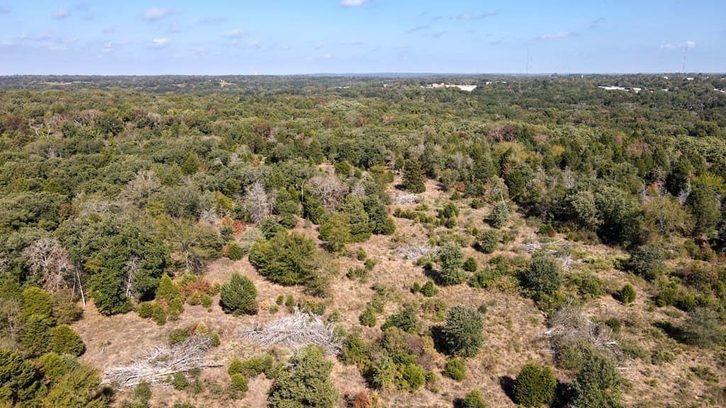 25.6 acres in Henderson County - photo 7