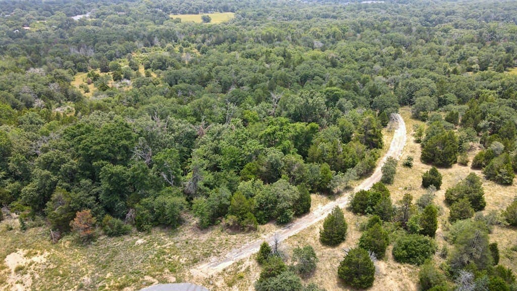 25.6 acres in Henderson County - photo 6