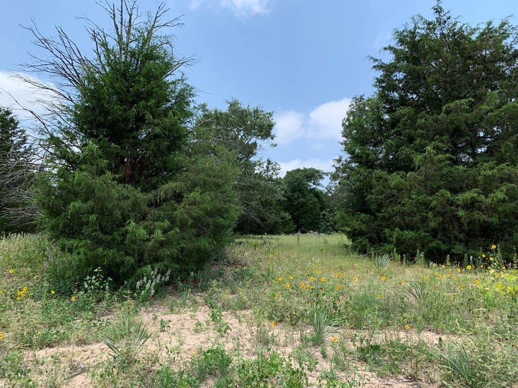25.6 acres in Henderson County - photo 17