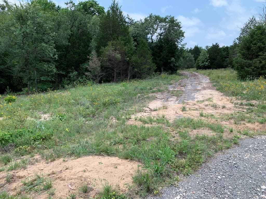 25.6 acres in Henderson County - photo 11