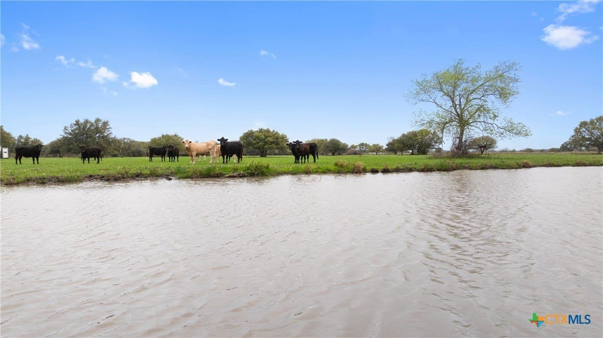 119.86 acres in Jackson County - photo 5