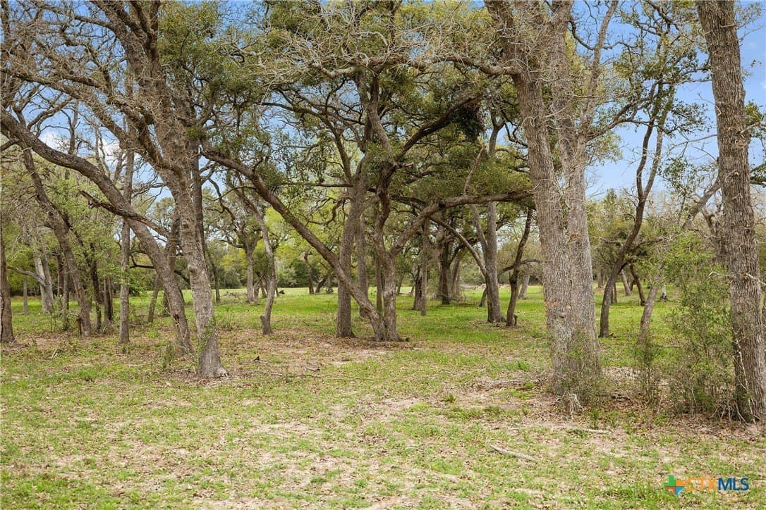 119.86 acres in Jackson County - photo 10