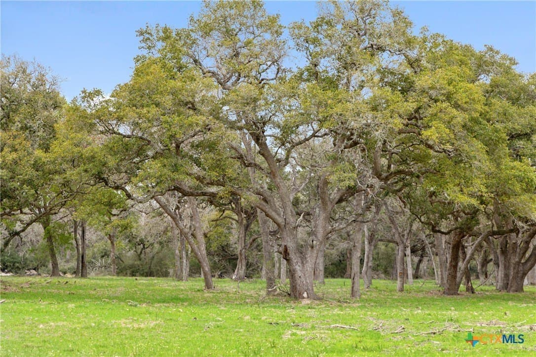 119.86 acres in Jackson County - photo 14