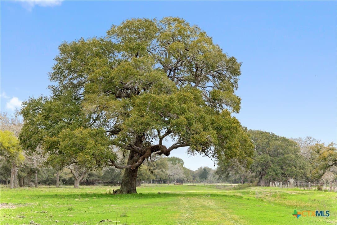 119.86 acres in Jackson County - photo 13