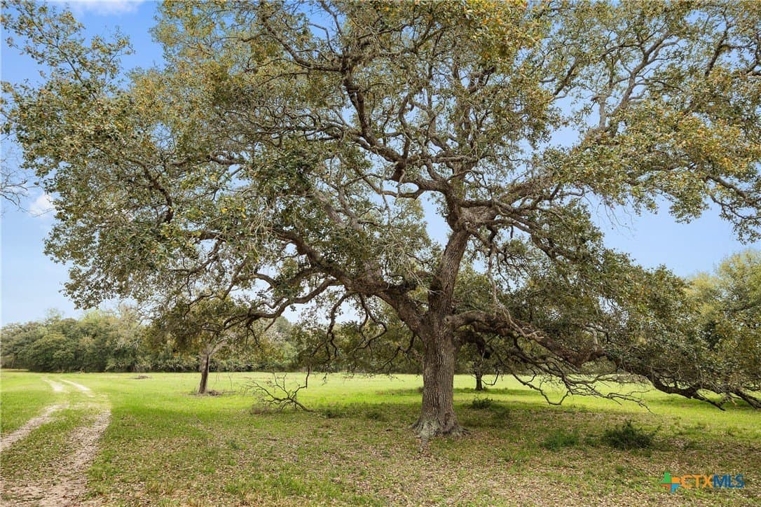 119.86 acres in Jackson County - photo 9