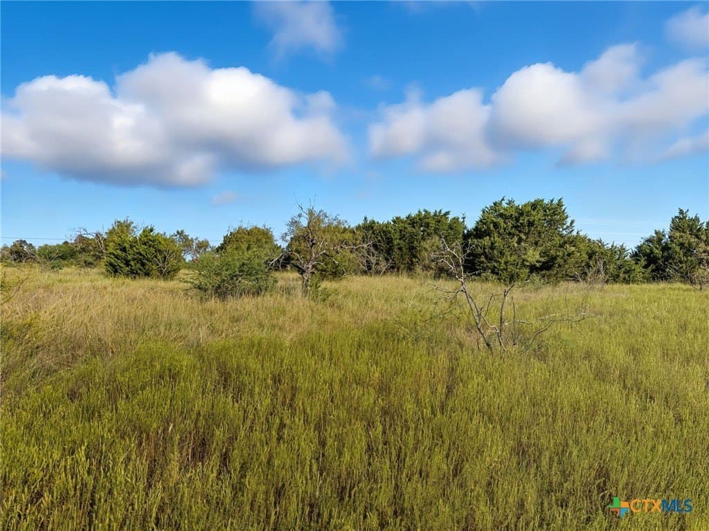 10.01 acres in Hamilton County - photo 9
