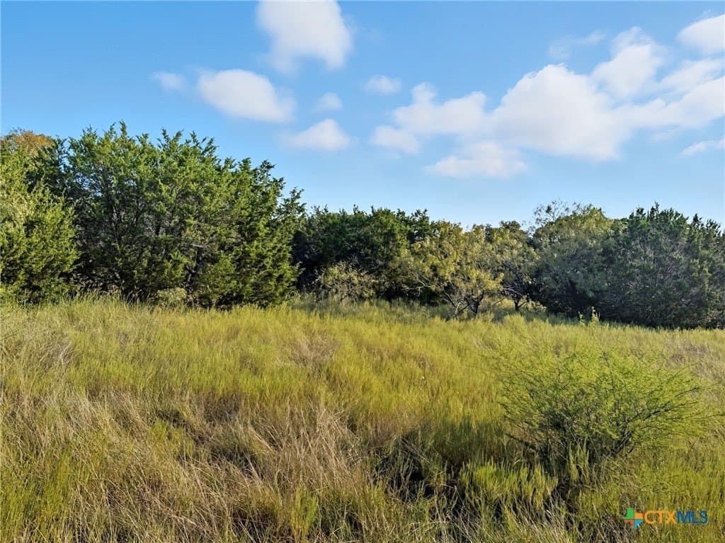 10.01 acres in Hamilton County gallery image 4