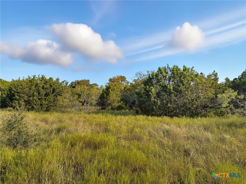 10.01 acres in Hamilton County - photo 11