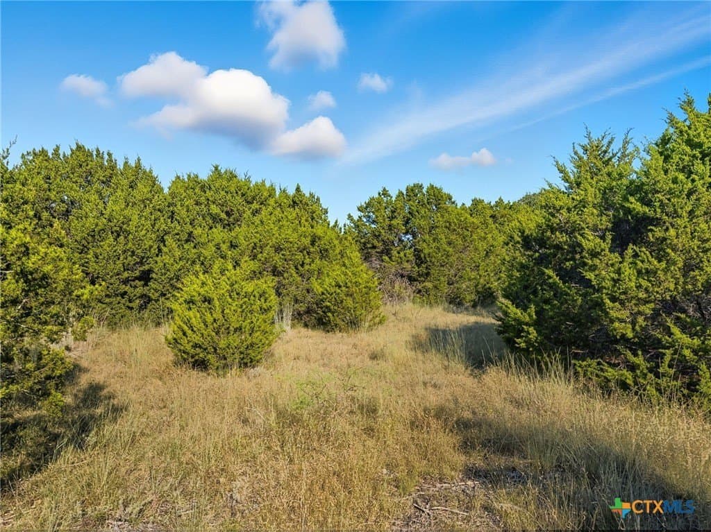 10.01 acres in Hamilton County - photo 13