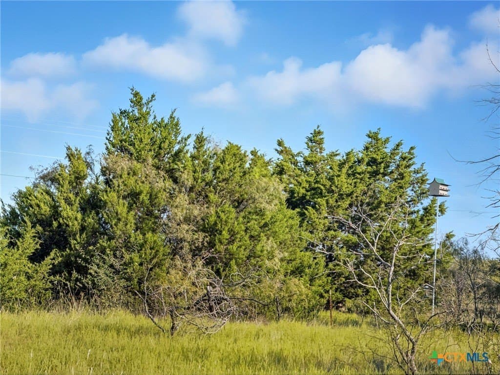 10.01 acres in Hamilton County - photo 8