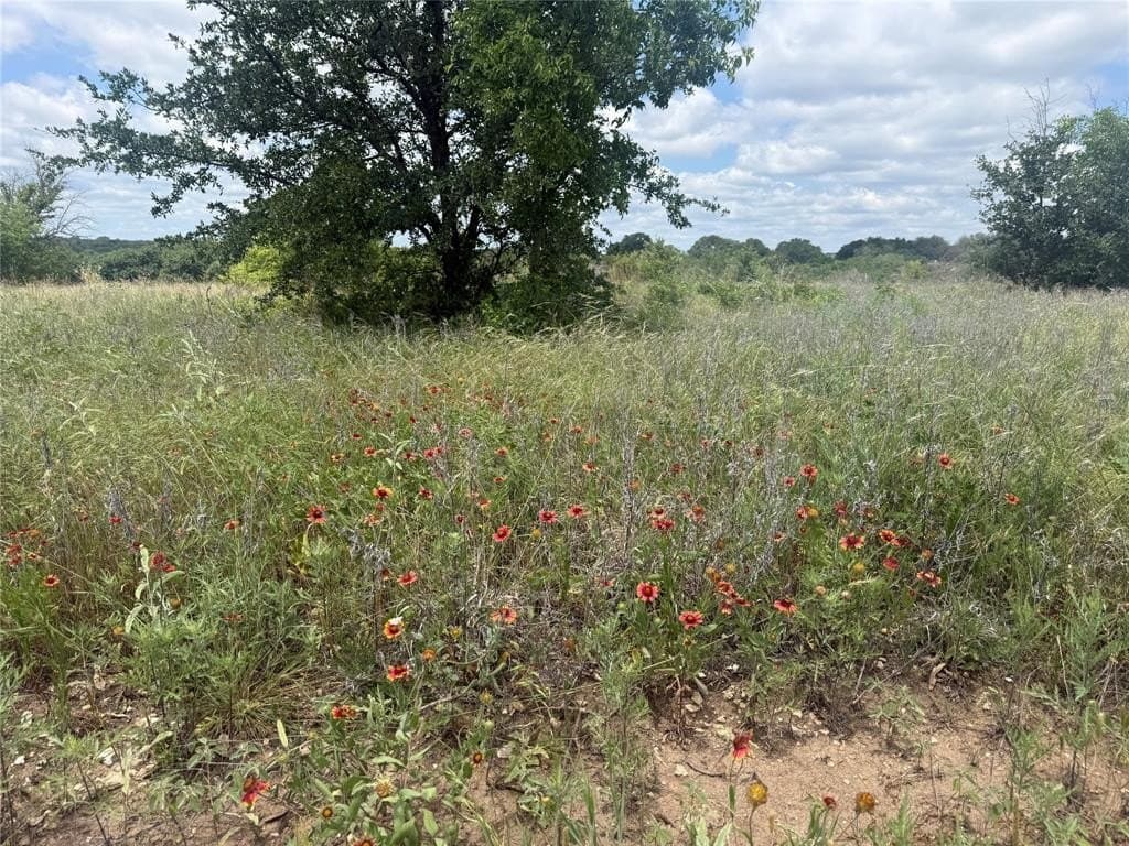 20 acres in Hood County gallery image 3