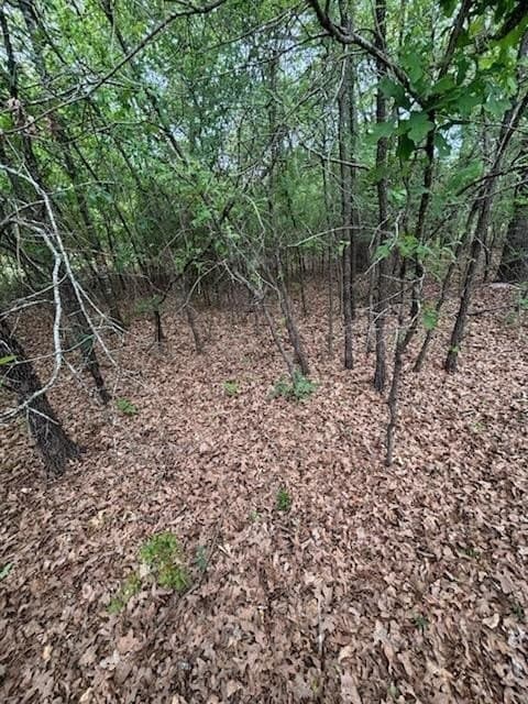 0.69 acres in Freestone County gallery image 2