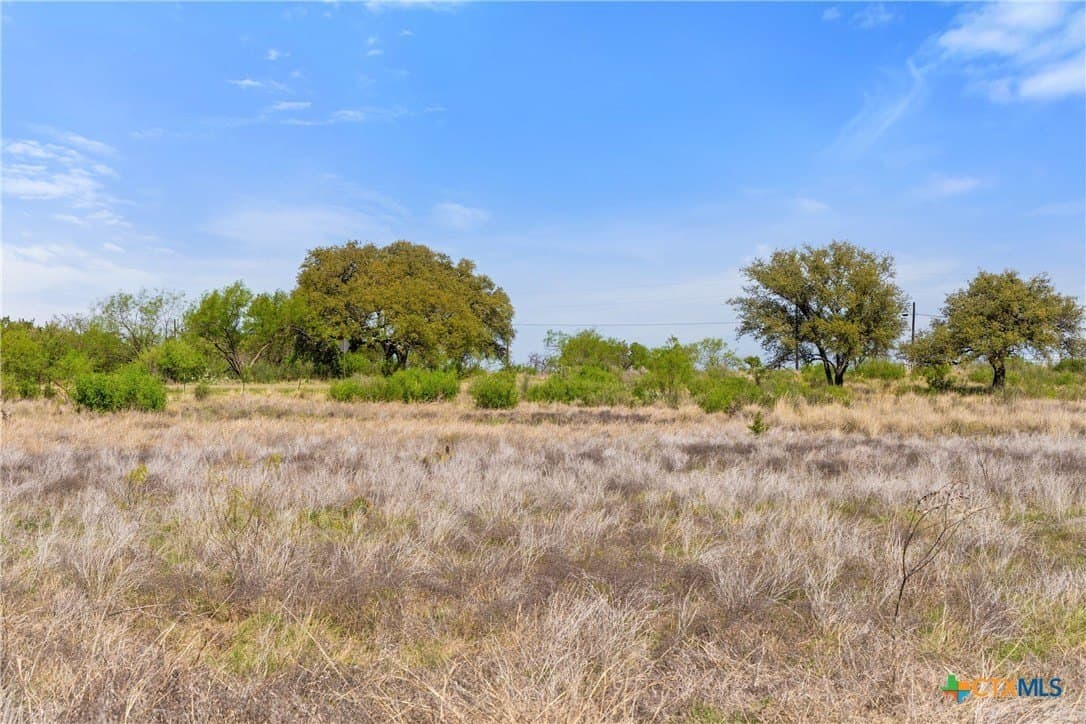 11 acres in Blanco County - photo 13