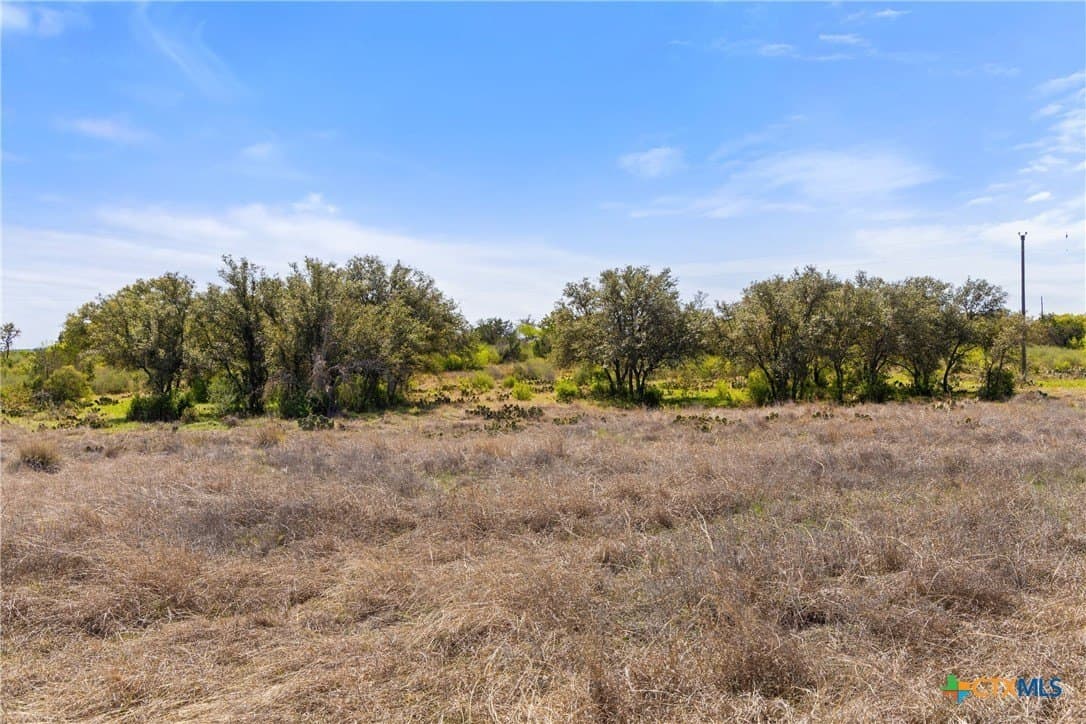 11 acres in Blanco County - photo 14