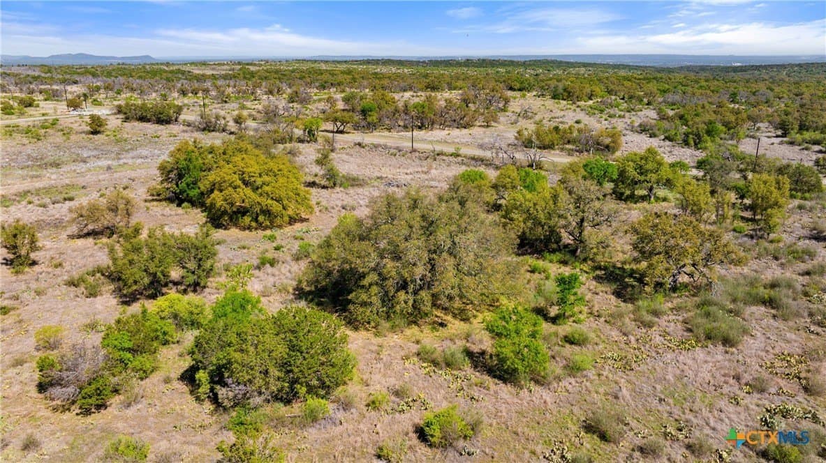 11 acres in Blanco County - photo 23