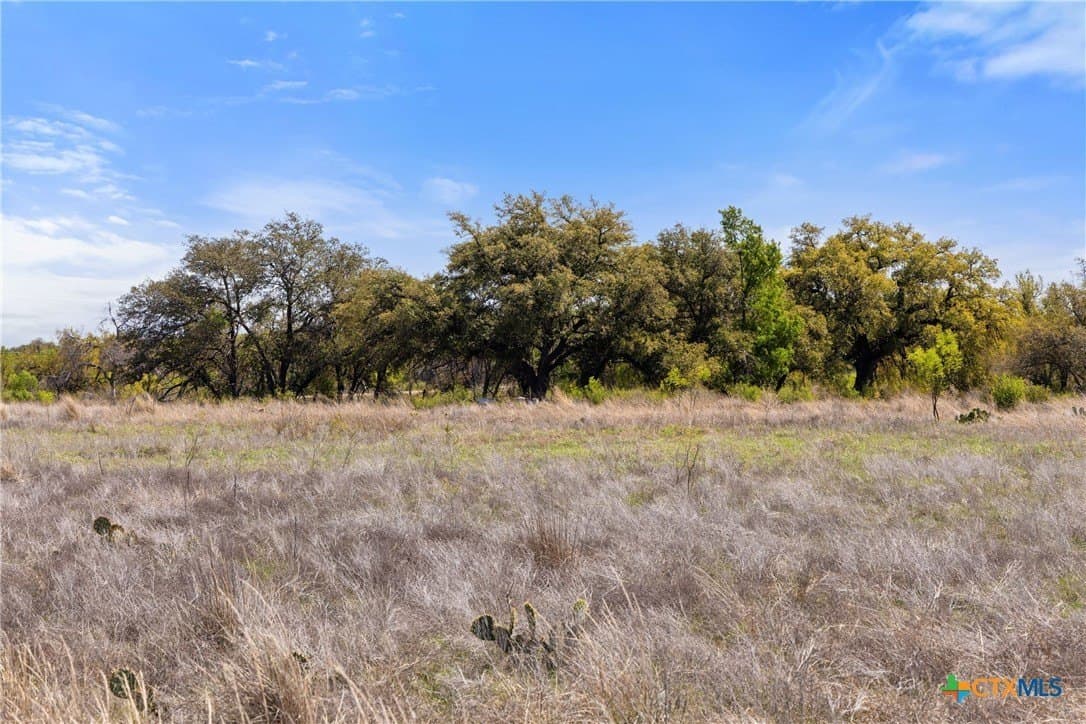 11 acres in Blanco County - photo 12