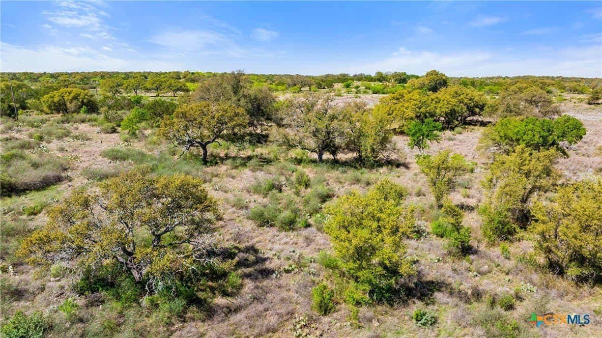 11 acres in Blanco County - photo 24