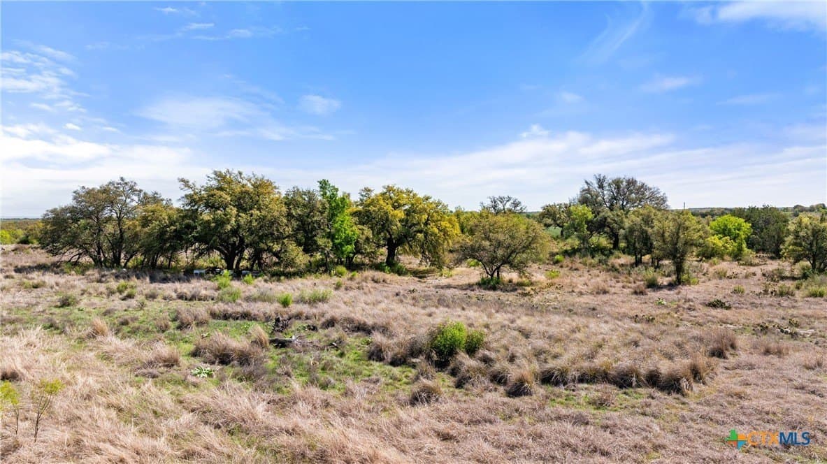 11 acres in Blanco County - photo 21
