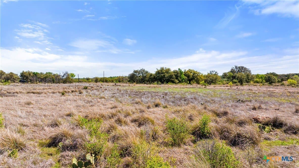 11 acres in Blanco County - photo 26