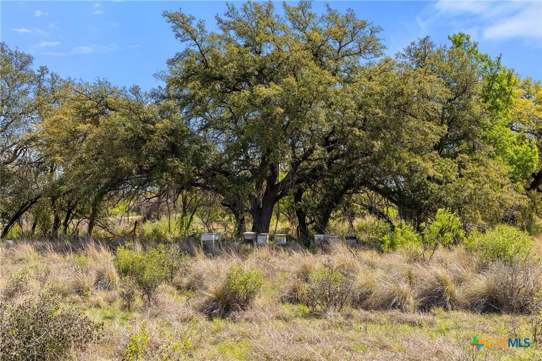 11 acres in Blanco County - photo 16