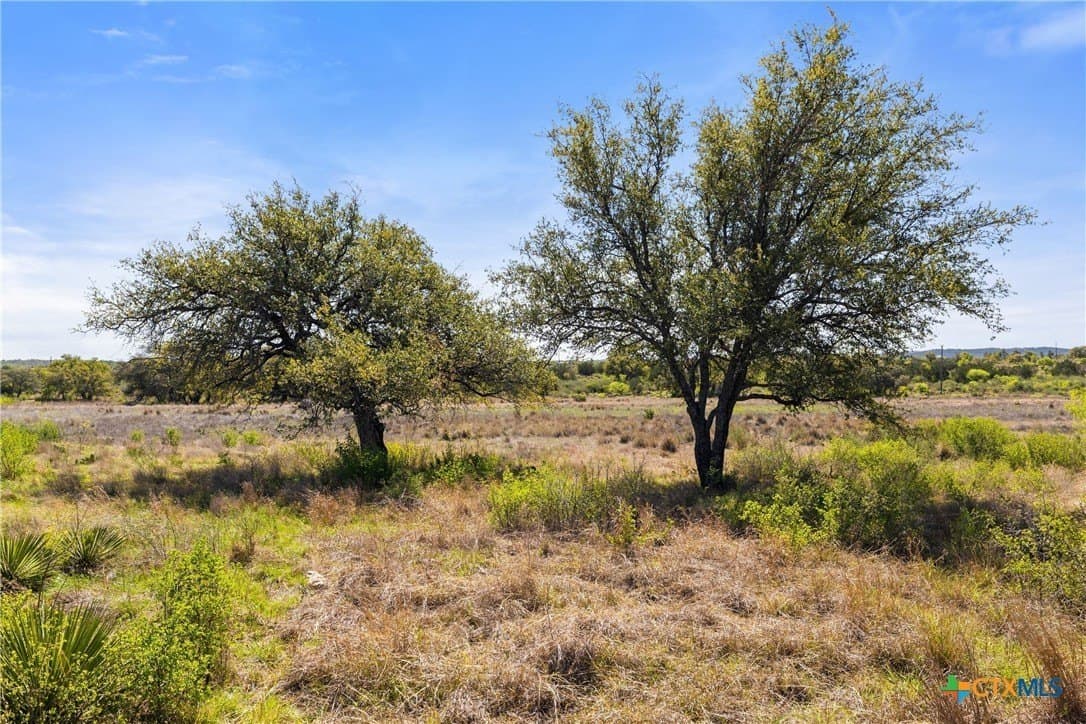 11 acres in Blanco County - photo 11
