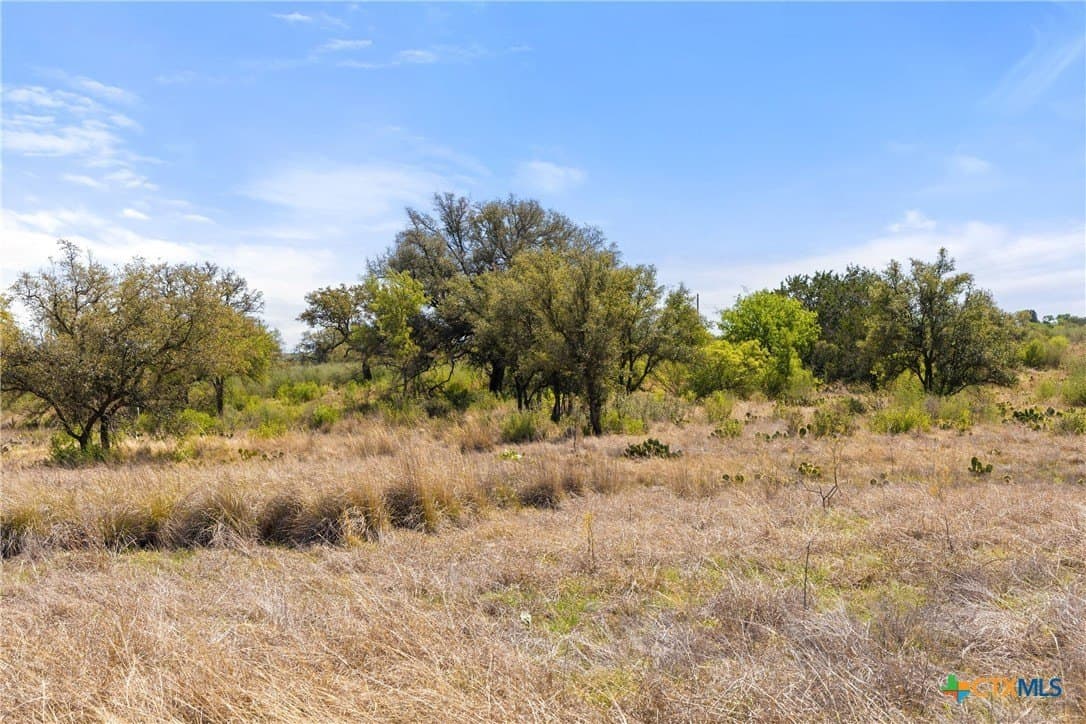 11 acres in Blanco County - photo 15