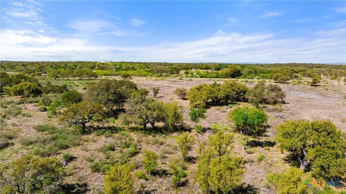 11 acres in Blanco County - photo 28