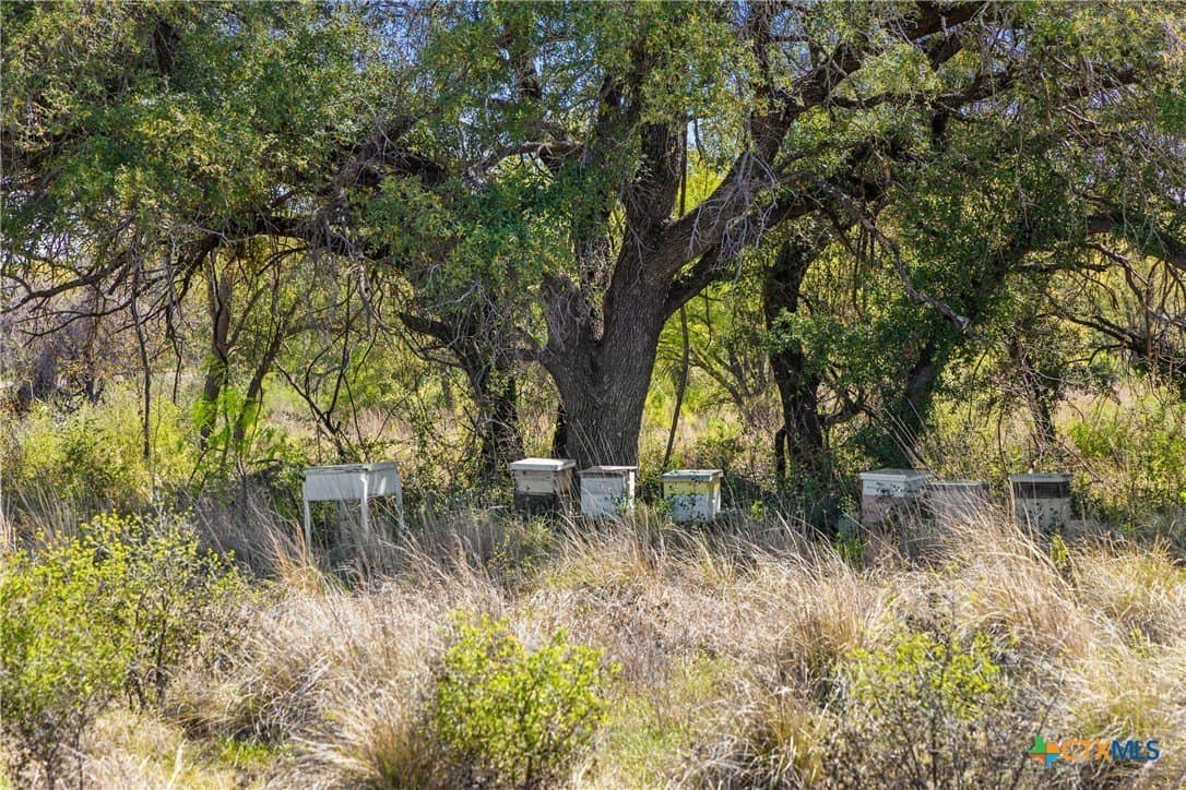11 acres in Blanco County - photo 17