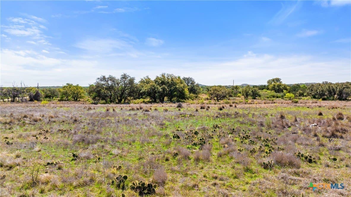 11 acres in Blanco County - photo 25