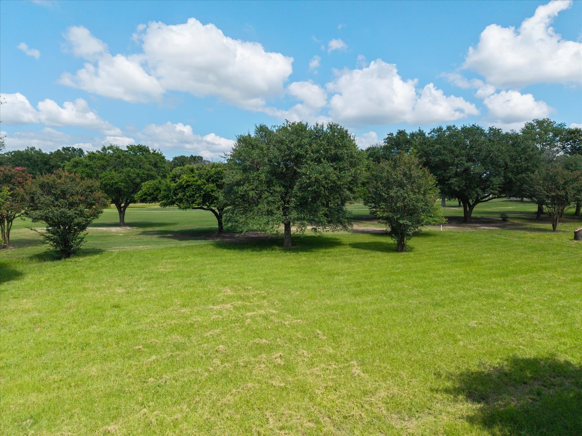 0.52 acres in Wood County - photo 6