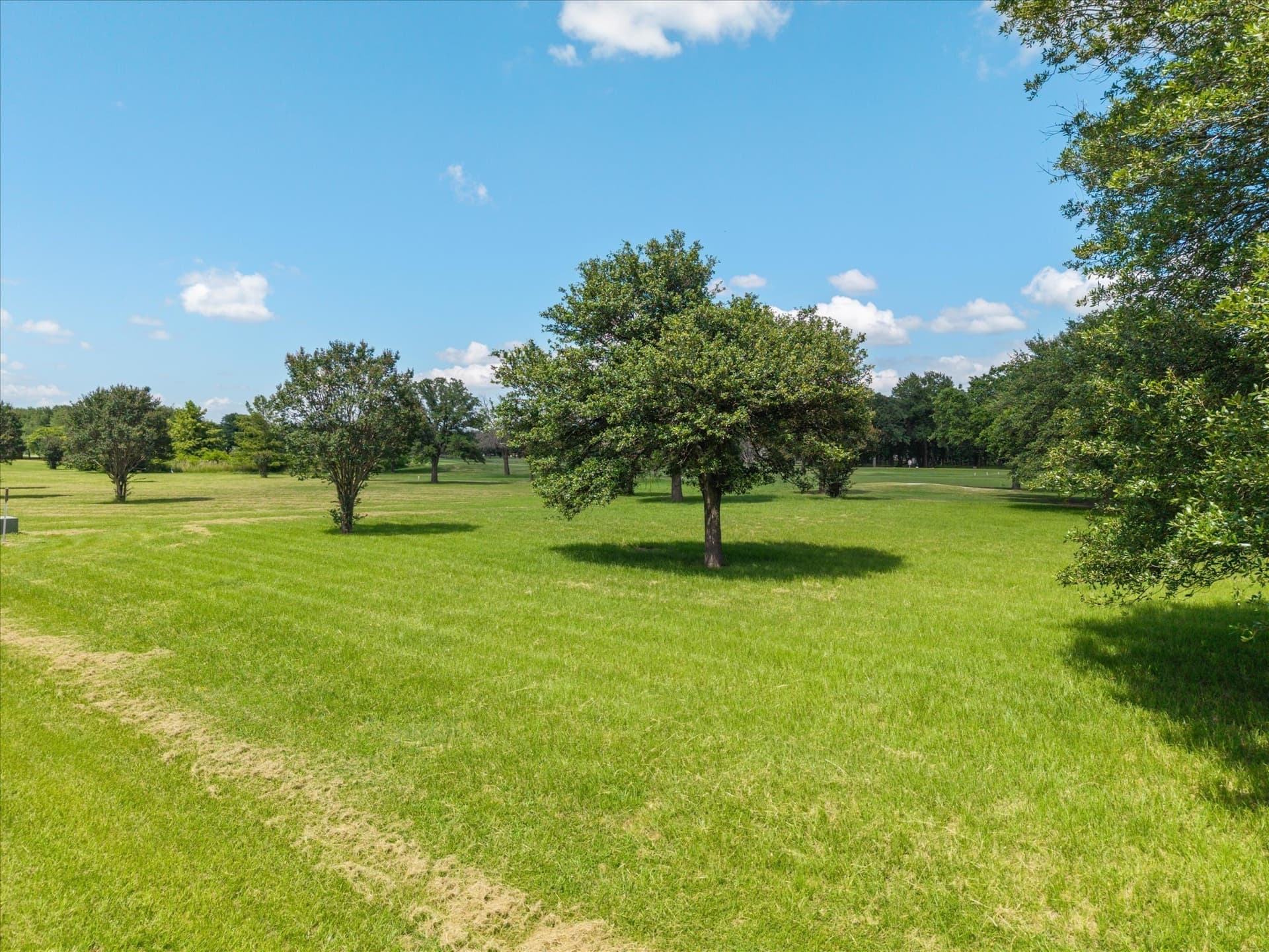 0.52 acres in Wood County - photo 5
