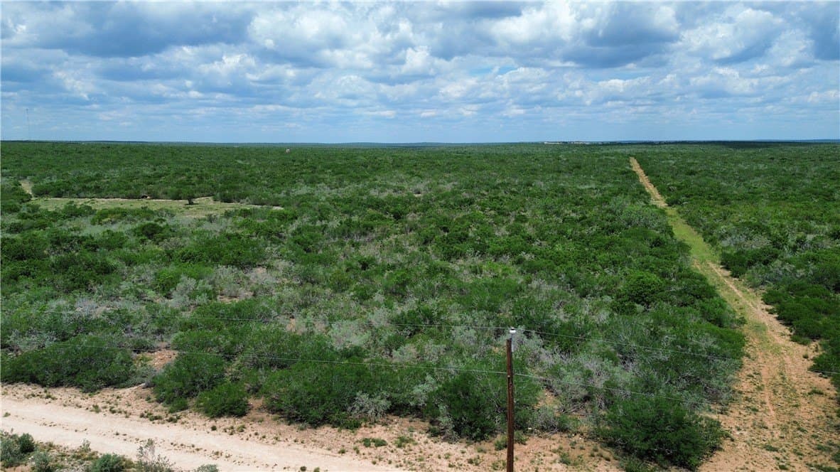 25 acres in Duval County - photo 13