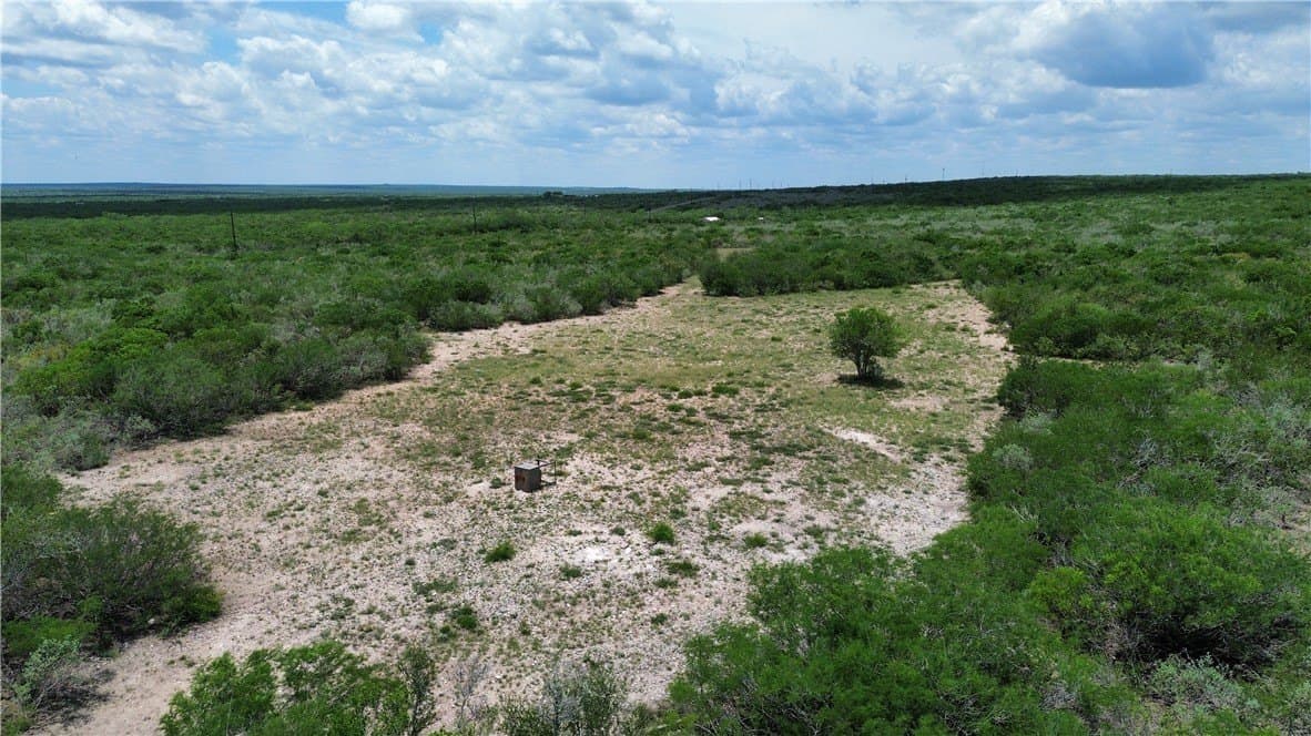 25 acres in Duval County - photo 14