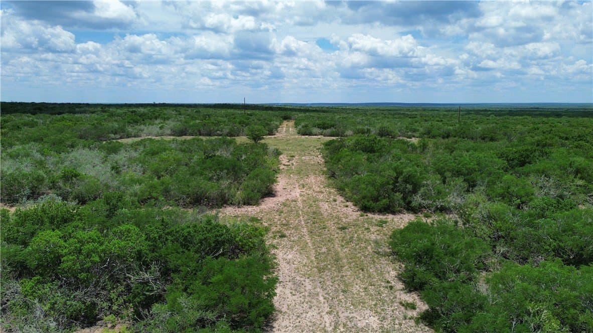 25 acres in Duval County - photo 11