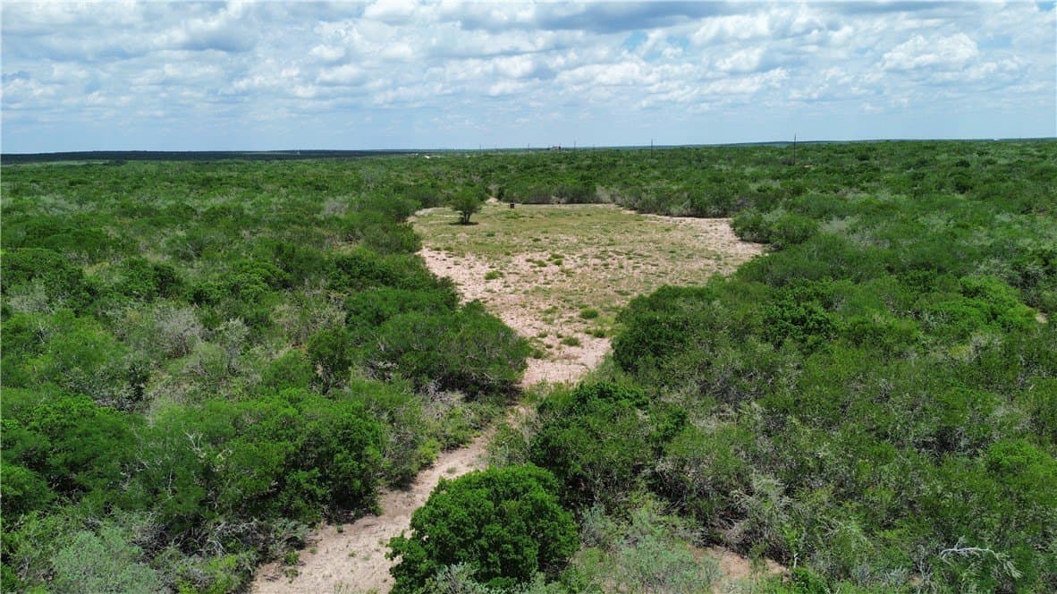 25 acres in Duval County - photo 15