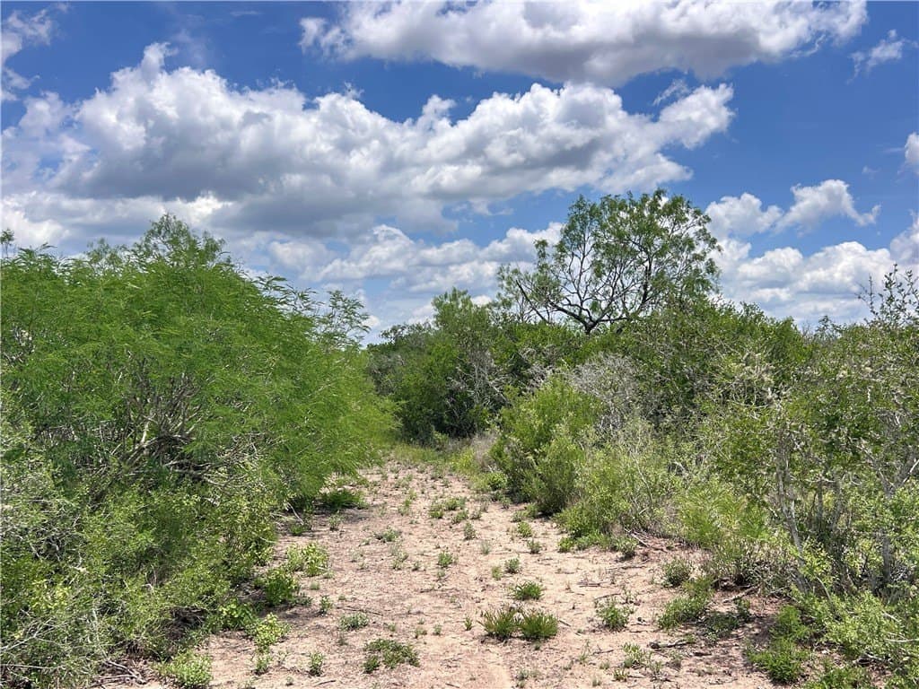 25 acres in Duval County - photo 10