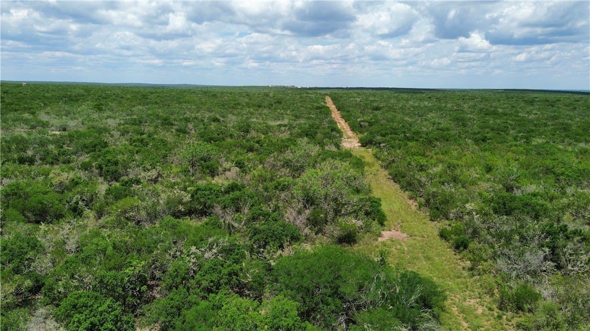 25 acres in Duval County gallery image 3