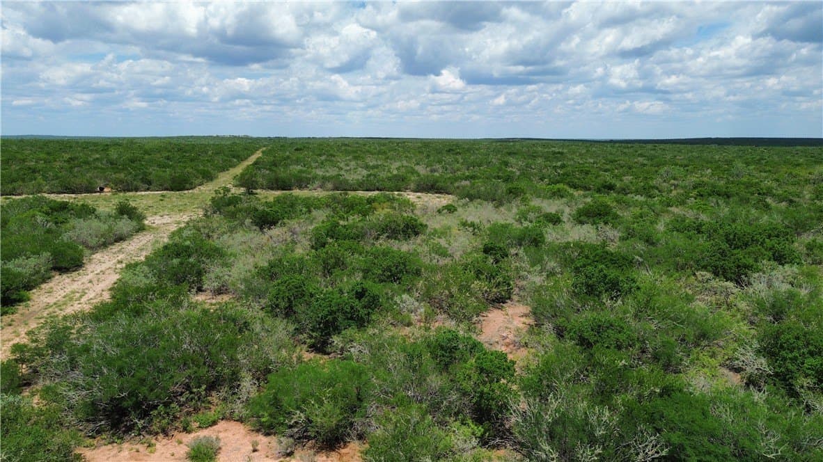 25 acres in Duval County - photo 12
