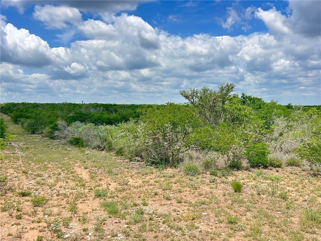 25 acres in Duval County - photo 7
