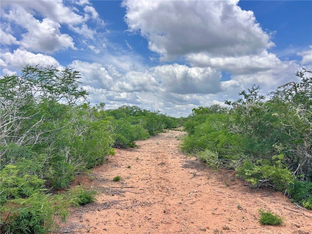 25 acres in Duval County - photo 9