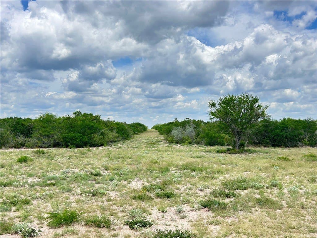 25 acres in Duval County - photo 6