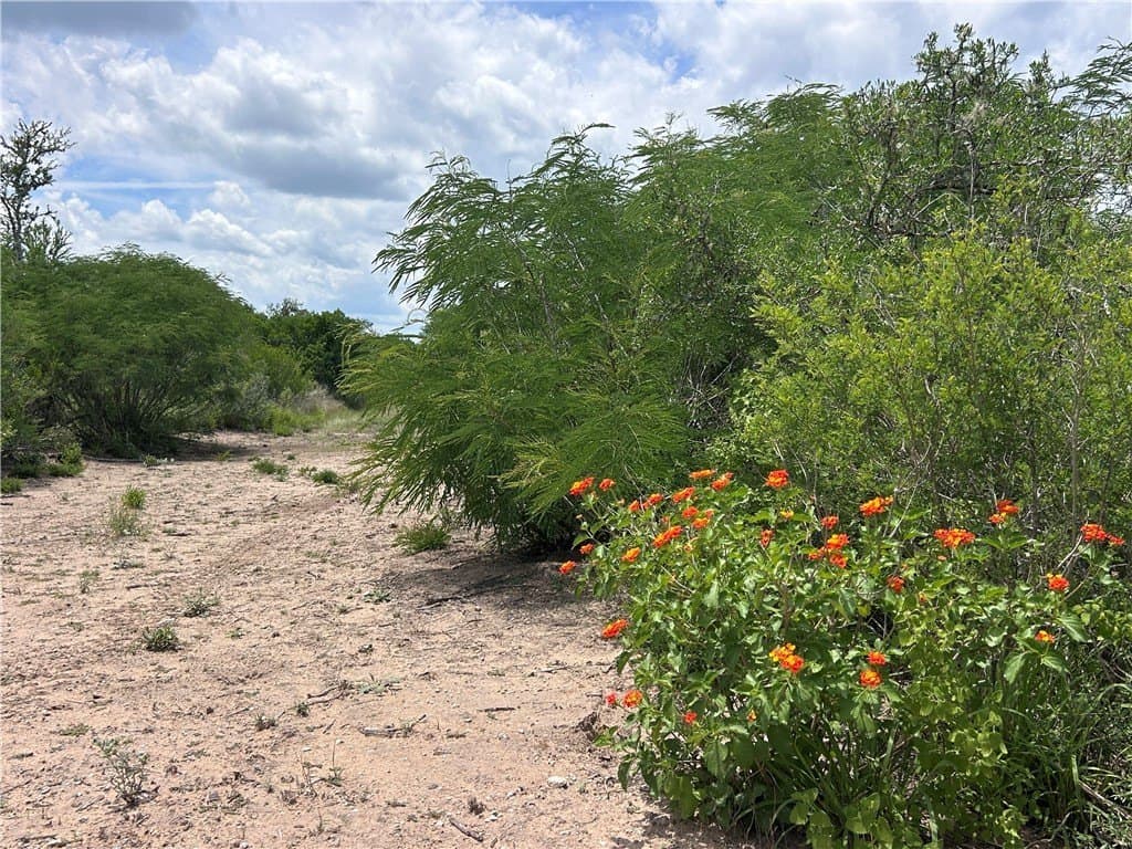 25 acres in Duval County - photo 16