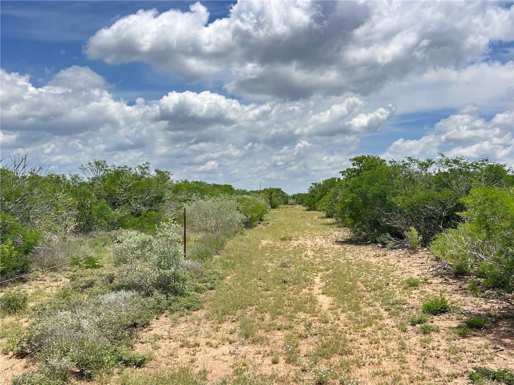 25 acres in Duval County - photo 8