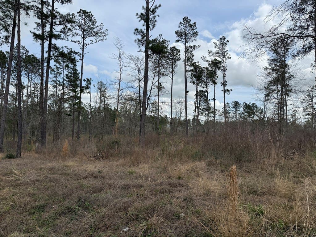 12.22 acres in Texas County - photo 9