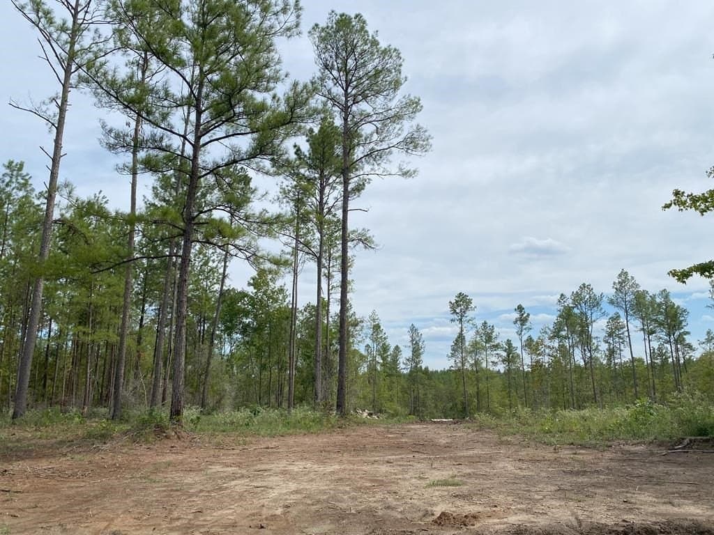 12.22 acres in Texas County - photo 11