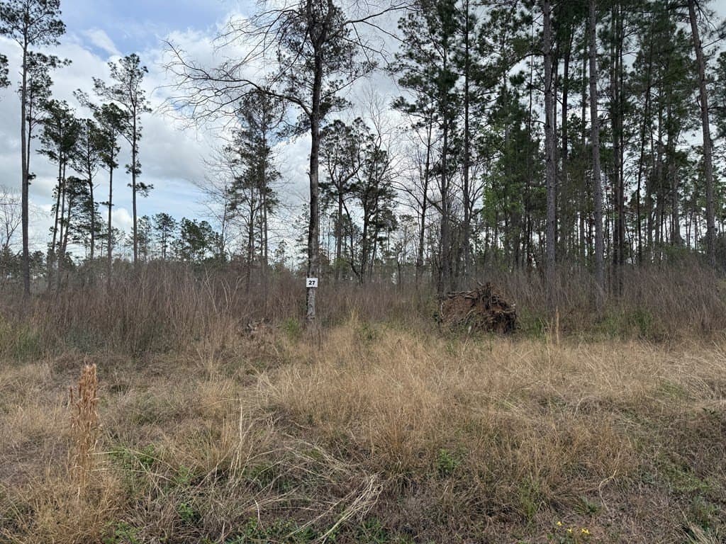 12.22 acres in Texas County - photo 8