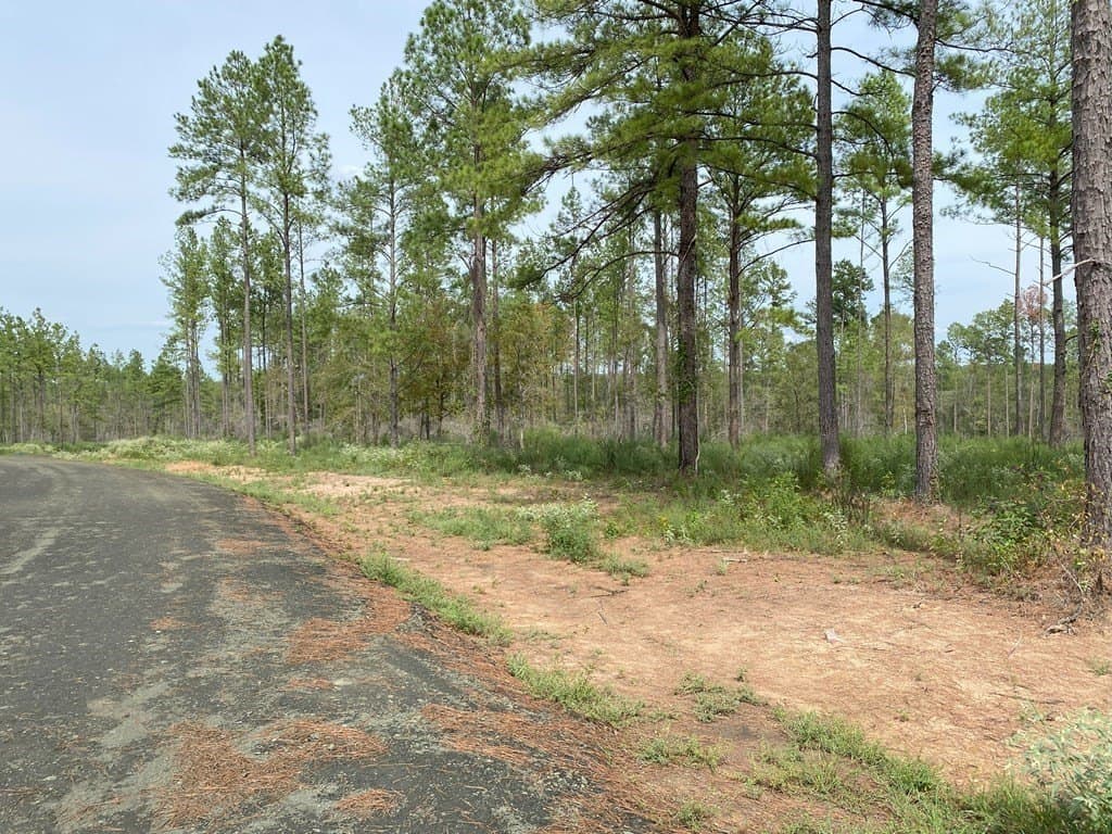 12.22 acres in Texas County featured view