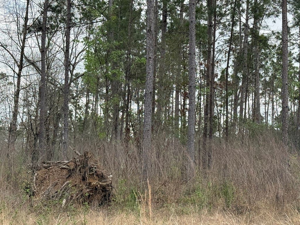 12.22 acres in Texas County - photo 10